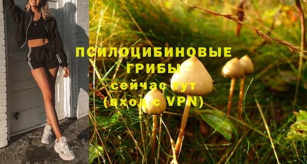 соль ск Волоколамск